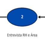 Grafico das Etapas do processo de seleção